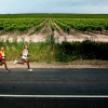 Mr Price Winelands Marathon