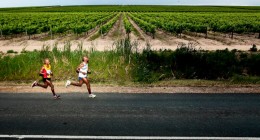 Mr Price Winelands Marathon